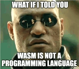 确切地说，WASM不是一种编程语言